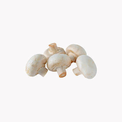 Champignons Fein 3kg